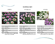 23 銀座 築地川銀座公園 花壇 冬の草花 季節 futatoki 事例