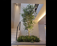 24 仙台市 住宅展示場 観葉植物 造花装飾 吹き抜け SEASONS 事例