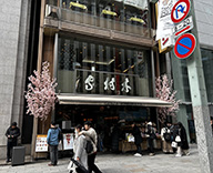 24 銀座 店内　屋外 桜 造花 本物 SEASONS 事例