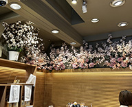 24 銀座 店内　屋外 桜 造花 本物 SEASONS 事例