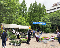 24 中央区 公園 花 苗木 即売会 futatoki 事例