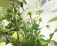 25 銀座 階段踊り場 装飾 造花 初夏 SEASONS 事例