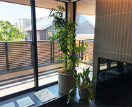25 大阪府 住宅展示場 堺市 観葉レンタル 造花装飾 hitotoki 事例
