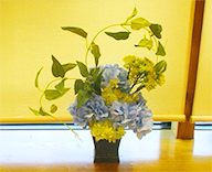 25 大阪市 店舗内 季節のお花 紫陽花 アートフラワー SEASONS 事例