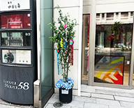 25 銀座 屋外 七夕 短冊 装飾 SEASONS 事例
