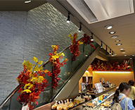 25 銀座 店舗 室内 屋外 造花 SEASONS 事例