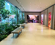 25 東京 エントランス オフィス装飾 観葉植物 植栽工事 SEASONS 事例