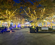 25 新浦安 千葉 イルミネーション クリスマス 装飾 SEASONS 事例