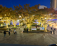 25 新浦安 千葉 イルミネーション クリスマス 装飾 SEASONS 事例