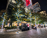 25 京橋 商業施設 クリスマスツリー イルミネーション デコレーション SEASONS 事例