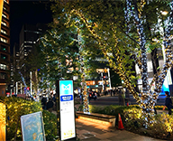 25 京橋 商業施設 クリスマスツリー イルミネーション デコレーション SEASONS 事例