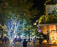 25 京橋 商業施設 クリスマスツリー イルミネーション デコレーション SEASONS 事例