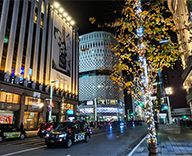 25 銀座 街路樹 イルミネーション 点灯式 松下奈緒 SEASONS 事例