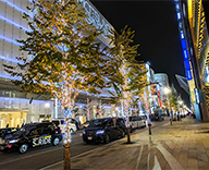 25 銀座 街路樹 イルミネーション 点灯式 松下奈緒 SEASONS 事例