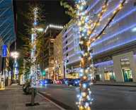 25 銀座 街路樹 イルミネーション 点灯式 松下奈緒 SEASONS 事例