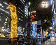 25 銀座 街路樹 イルミネーション 点灯式 松下奈緒 SEASONS 事例