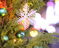 25 銀座 街路樹 イルミネーション 点灯式 松下奈緒 SEASONS 事例