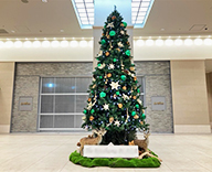 25 大阪市内 商業施設 クリスマスツリー イルミネーション クリスマス SEASONS 事例