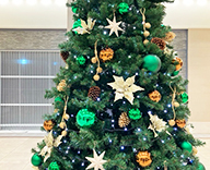 25 大阪市内 商業施設 クリスマスツリー イルミネーション クリスマス SEASONS 事例