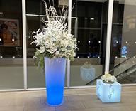 25 大阪市内 商業施設 クリスマスツリー イルミネーション クリスマス SEASONS 事例