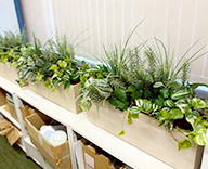 25 都内 オフィス グリーン 造花 装飾 SEASONS 事例