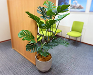 25 都内 オフィス グリーン 造花 装飾 SEASONS 事例