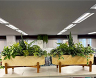 25 都内 オフィス グリーン 造花 装飾 SEASONS 事例