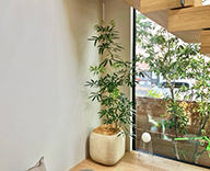 25 京都市 住宅展示場 観葉レンタル インテリア 造花装飾 hitotoki 事例