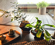 25 京都市 住宅展示場 観葉レンタル インテリア 造花装飾 hitotoki 事例