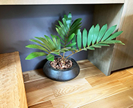 25 京都市 住宅展示場 観葉レンタル インテリア 造花装飾 hitotoki 事例