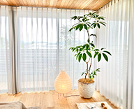 25 福岡 住宅展示場 大野城市 インテリア 観葉レンタル hitotoki 事例