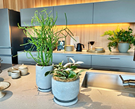 25 福岡 住宅展示場 大野城市 インテリア 観葉レンタル hitotoki 事例