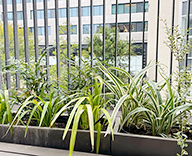 25 渋谷 バルコニー エバーグリーン 爽やか バルコニー futatoki 事例