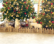 25 豊洲 エントランス クリスマス ノエル 装飾 SEASONS 事例