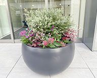 25 北参道 エントランス 草花 秋 ピンク hitotoki 事例