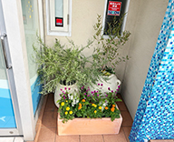 25 東京 江戸川 病院 エントランス プランター futatoki 事例