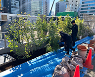 25 東京 渋谷 メモリアルパーク 植栽 学校跡地 futatoki 事例