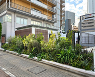 25 東京 渋谷 メモリアルパーク 植栽 学校跡地 futatoki 事例