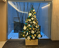 25 東京 渋谷 マンション 和モダン クリスマスツリー SEASONS 事例