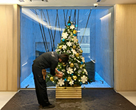 25 東京 渋谷 マンション 和モダン クリスマスツリー SEASONS 事例