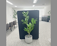 25 高輪 1 造木 フェイク 造花 SEASONS 事例