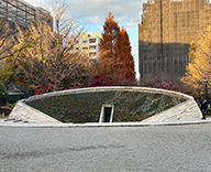 25 東京 横網町公園 花壇 植替え 季節 futatoki 事例