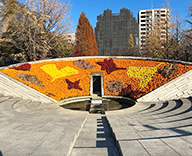 25 東京 横網町公園 花壇 植替え 季節 futatoki 事例