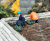 25 東京 横網町公園 花壇 植替え 季節 futatoki 事例