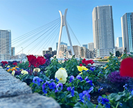 25 東京 中央区 築地 石川島 花壇 futatoki 事例