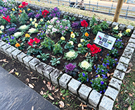 25 東京 中央区 築地 石川島 花壇 futatoki 事例