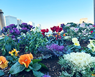 25 東京 中央区 築地 石川島 花壇 futatoki 事例