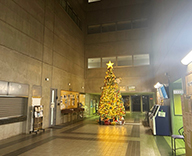 25 川越 建屋内 Xmasツリー クリスマス装飾 Xmas装飾 SEASONS 事例