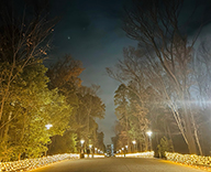 25 川越 敷地内園路 イルミネーション装飾 イルミネーション LED装飾 SEASONS 事例