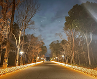 25 川越 敷地内園路 イルミネーション装飾 イルミネーション LED装飾 SEASONS 事例